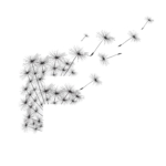 Work_Fortuity_6